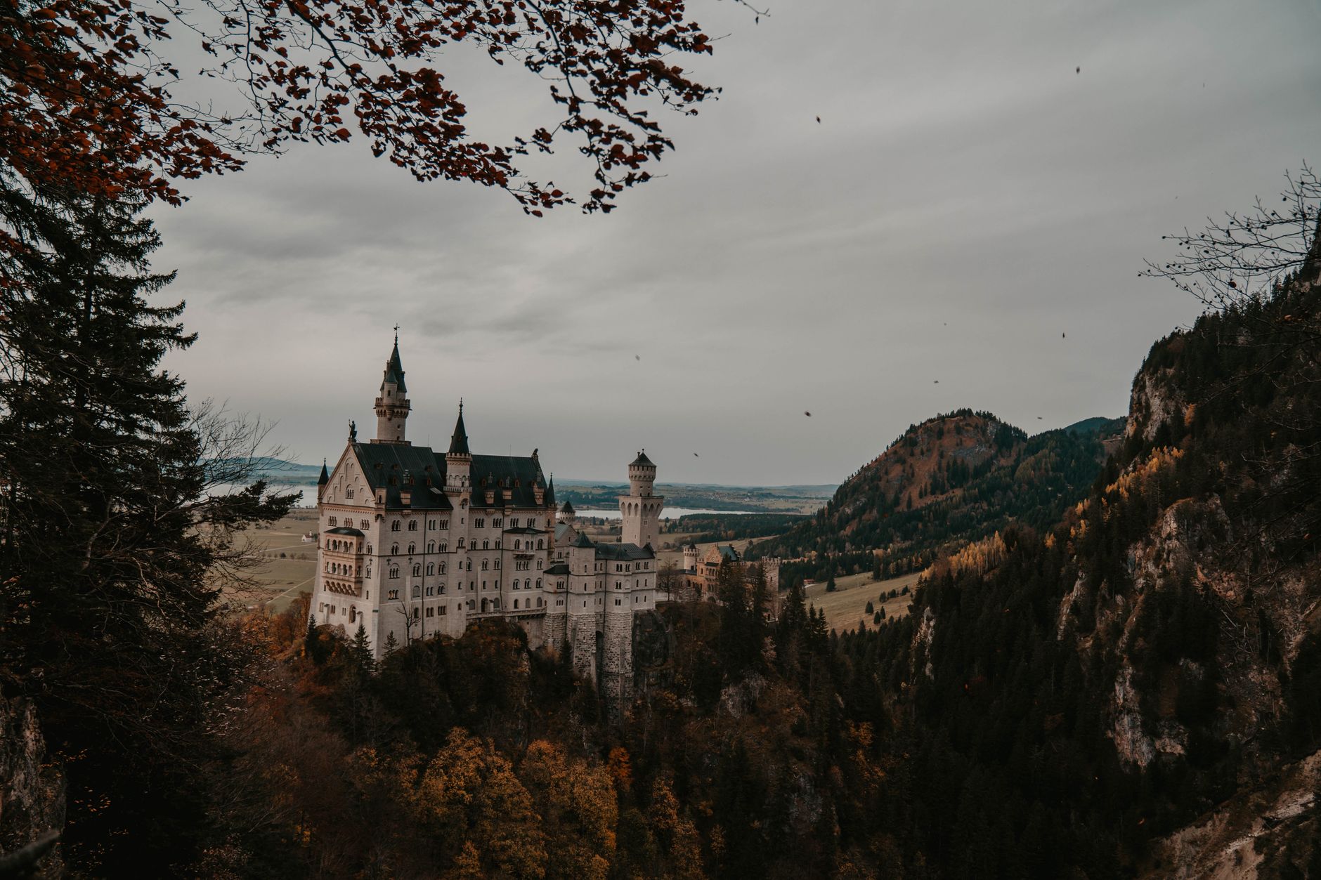 Zámek Neuschwanstein na zalesněném kopci v bavorských Alpách za jasného dne