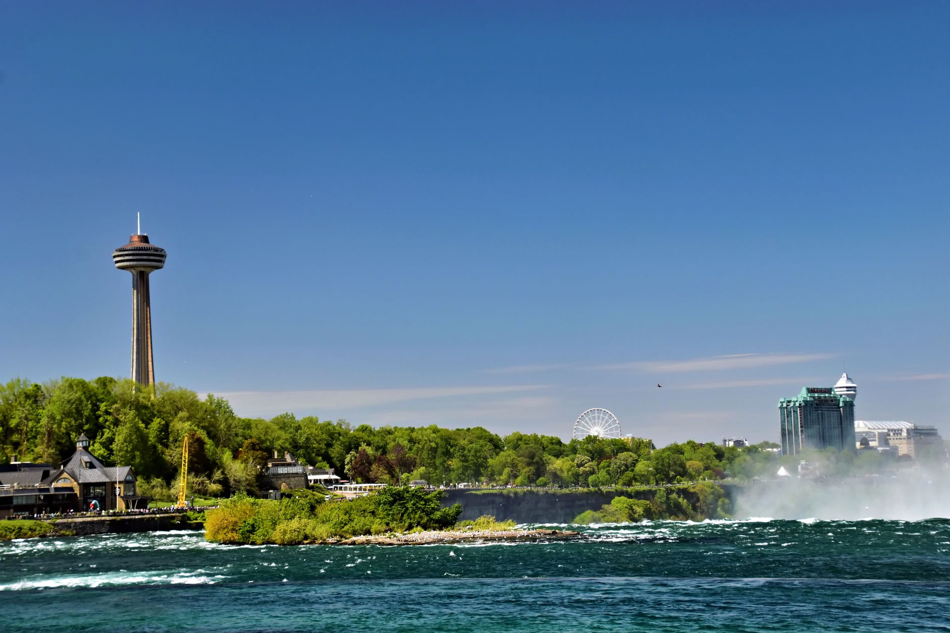 Vinice v oblasti Niagara Peninsula v Ontariu s úhledně srovnanými řadami révy a kopci v pozadí