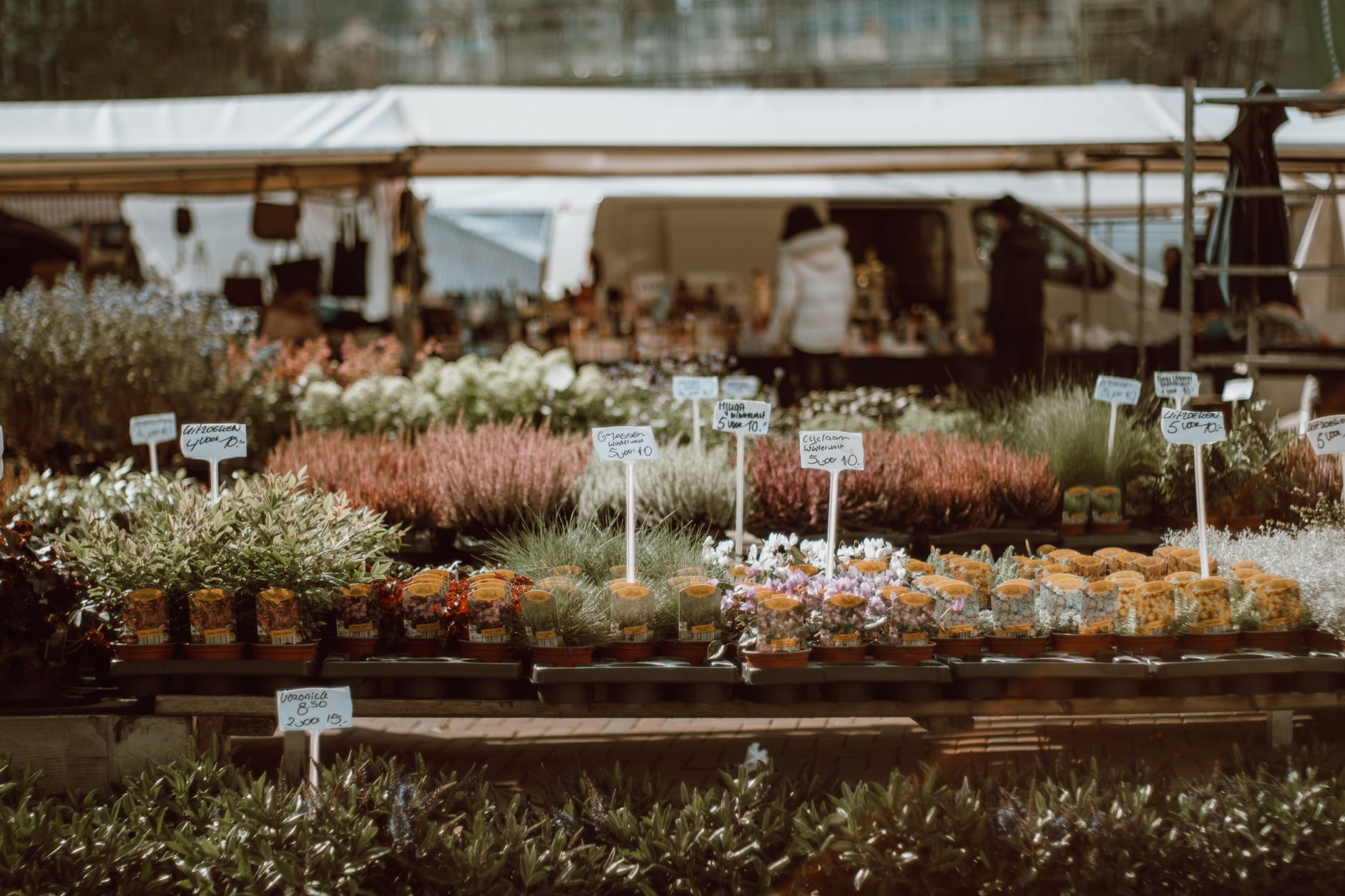 Tržiště Cours Saleya v Nice s pulty plnými barevné zeleniny, oliv a místních specialit