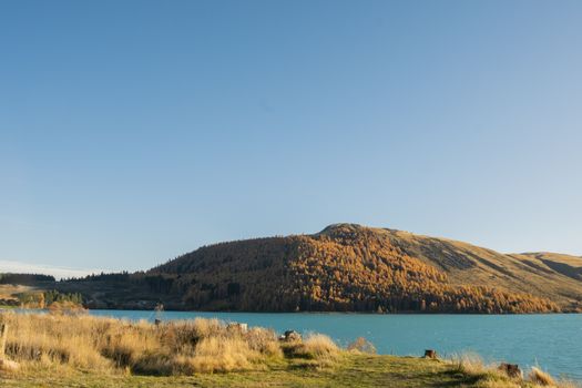 Zájezd na Nový Zéland