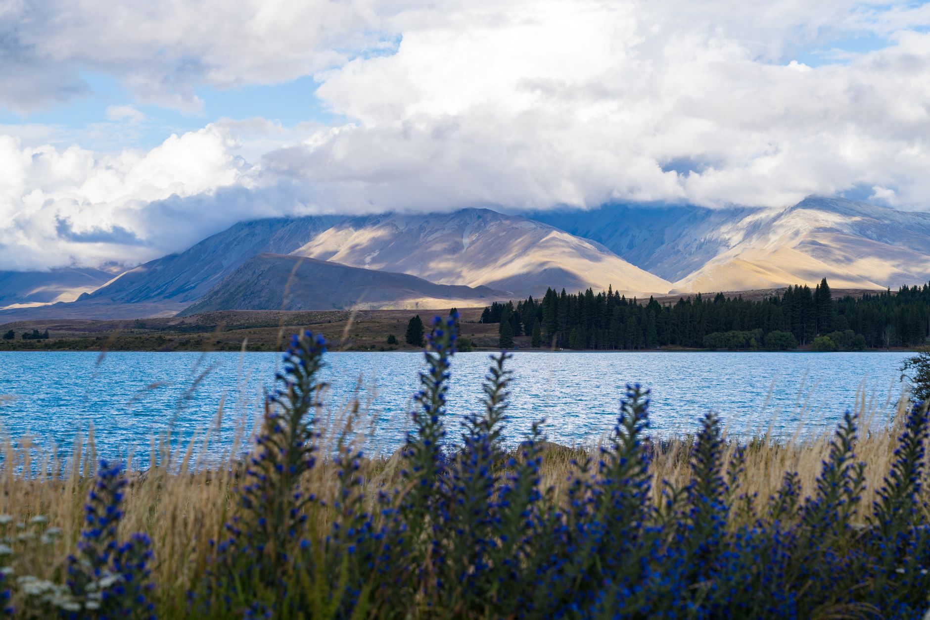 Tyrkysové ledovcové jezero Tekapo s horami v pozadí na Jižním ostrově Nového Zélandu