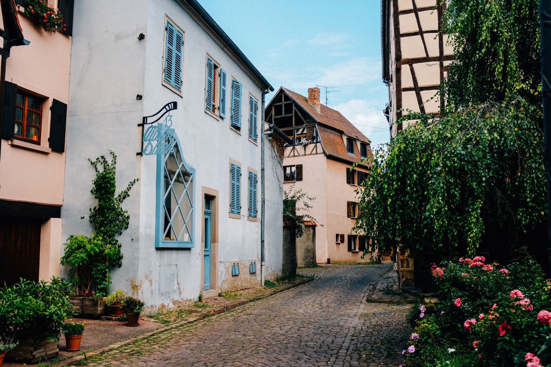Zájezd do Obernai