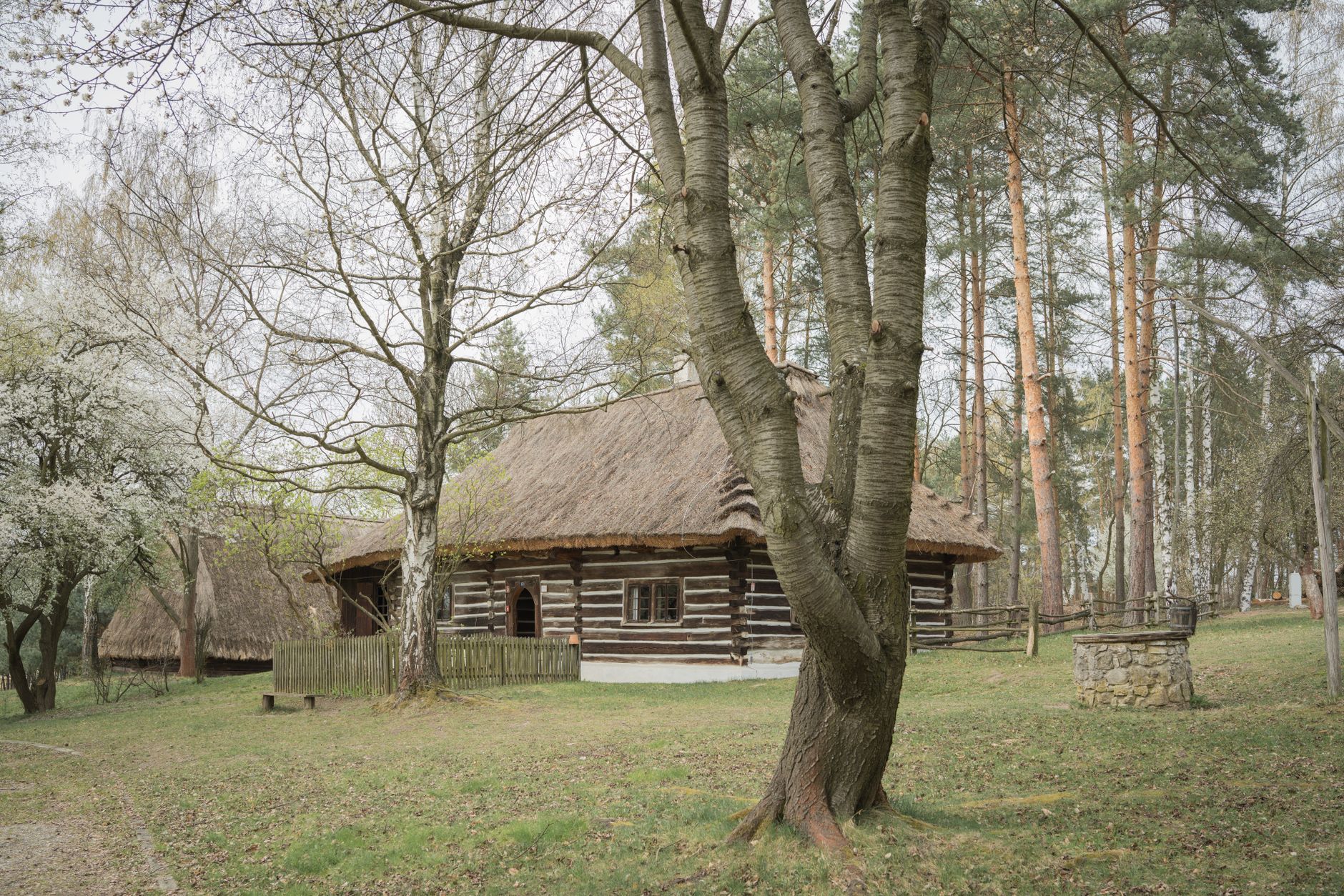Dřevěné chalupy a kostelík v oravském skanzenu Múzeum oravskej dediny v Zuberci