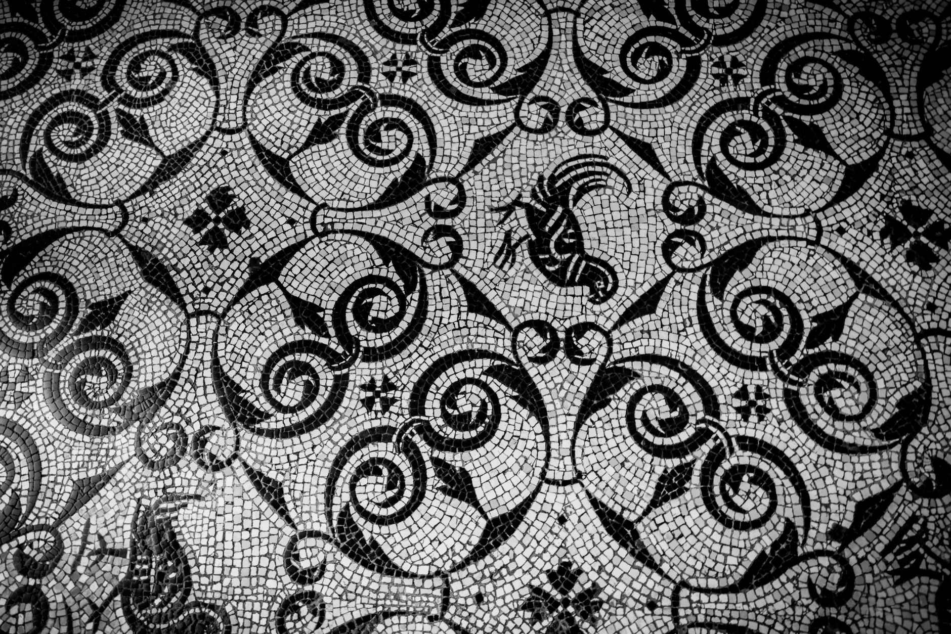 Detail černobílé podlahové mozaiky s mořským motivem v lázních v Ostia Antica