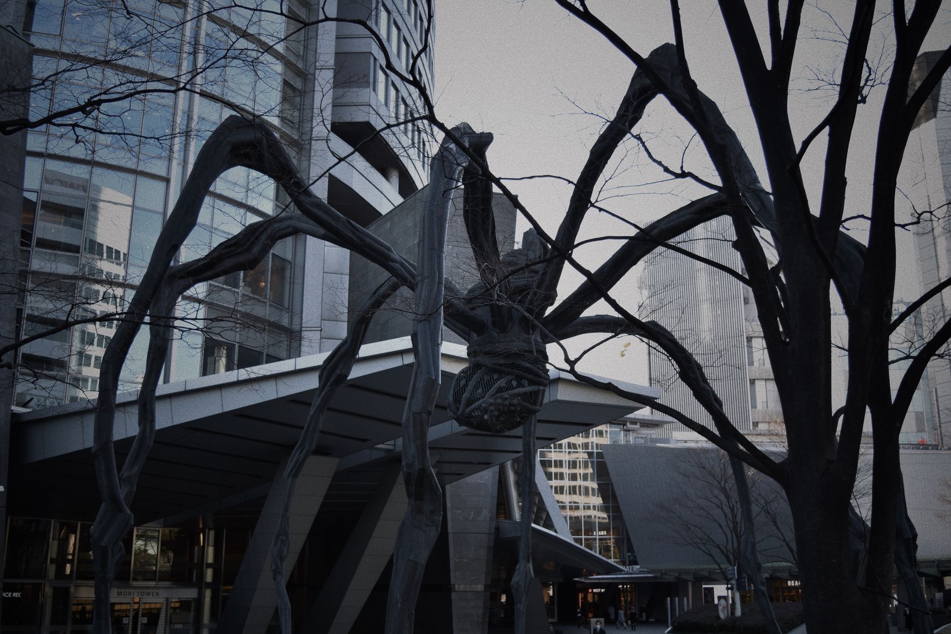 Pavoučí socha Maman před National Gallery of Canada v Ottawě