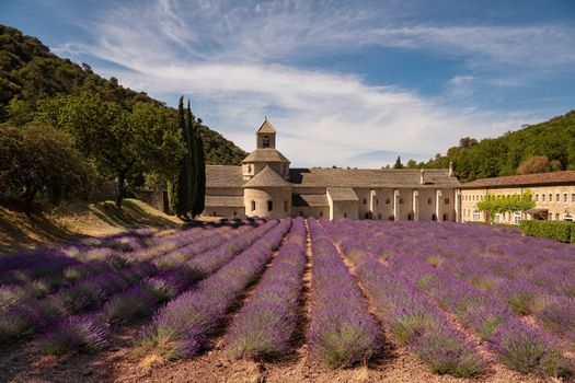 Zájezd do Provence
