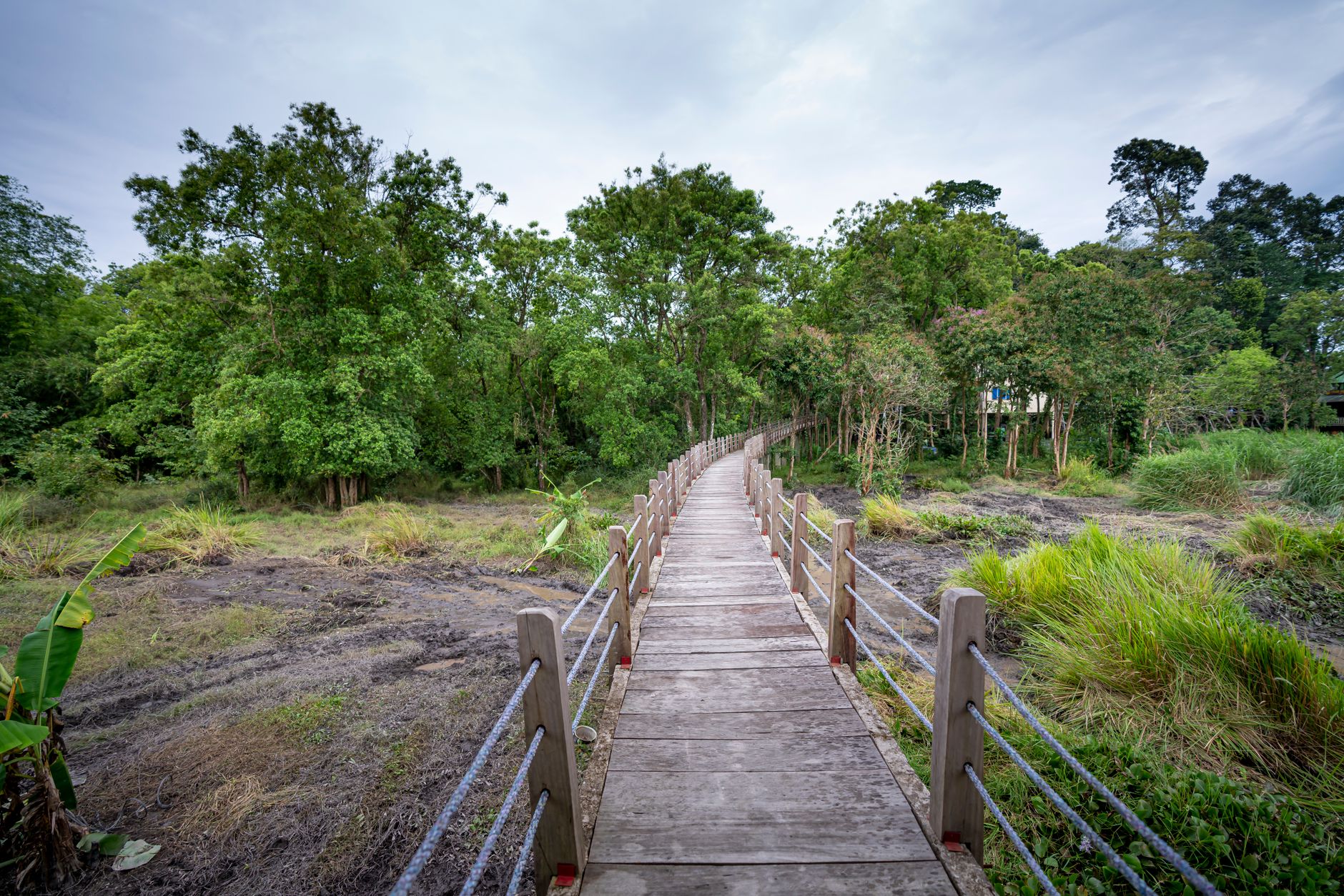 Dřevěné lávky nad řekou v národním parku Iguazú vedoucí mezi tropickou vegetací