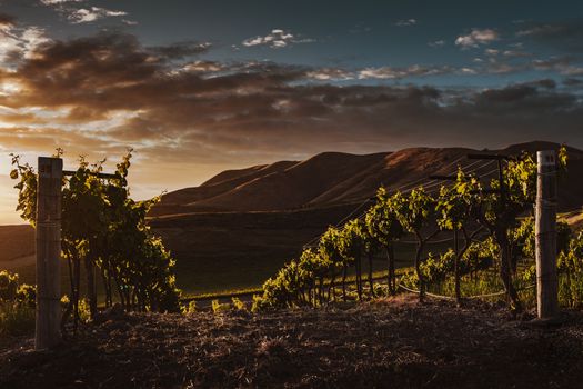 Zájezd do Queenstownu
