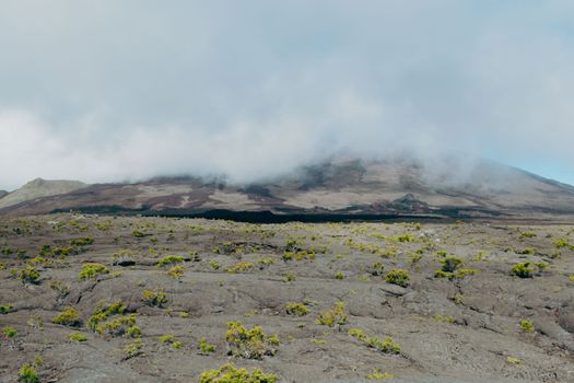 Zájezd na Réunion