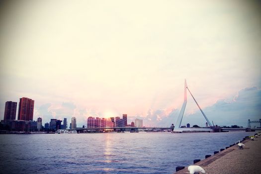 Zájezd do Rotterdamu
