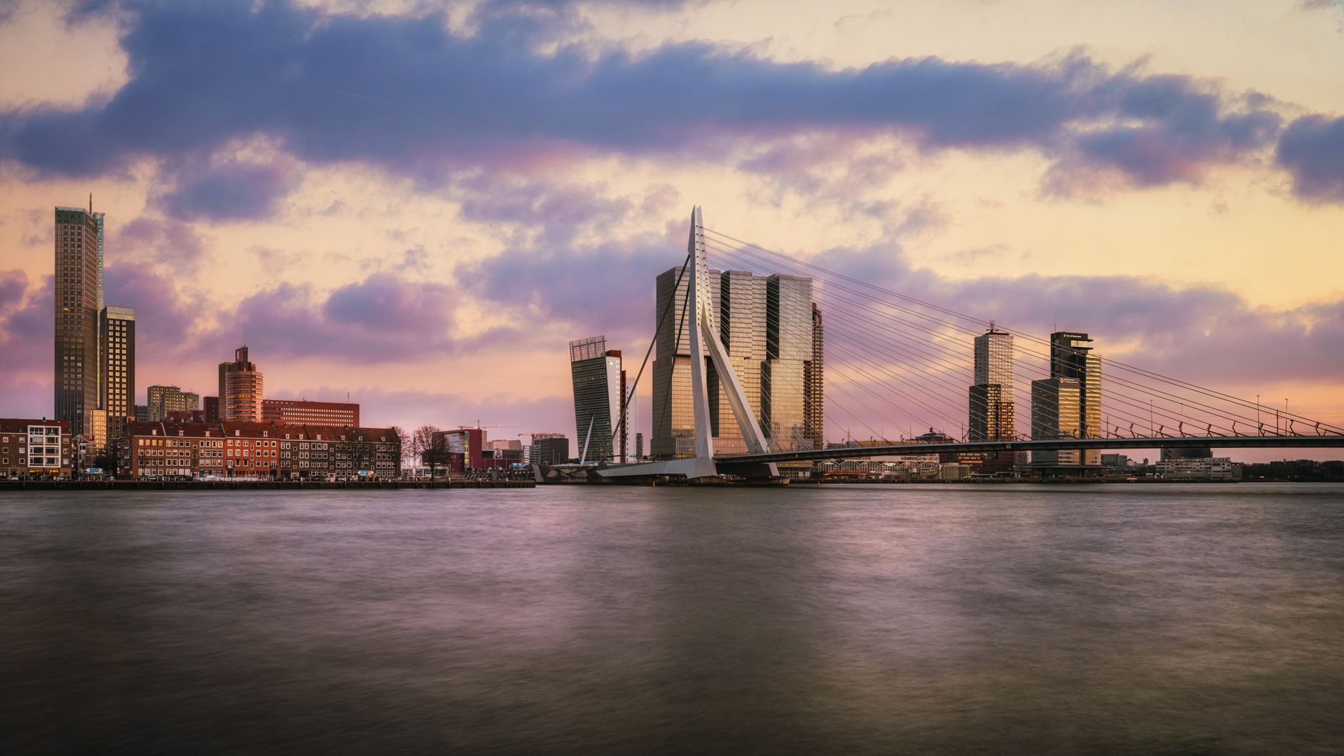 Bílý visutý most Erasmusbrug přes řeku Maasu v Rotterdamu s mrakodrapy v pozadí za soumraku
