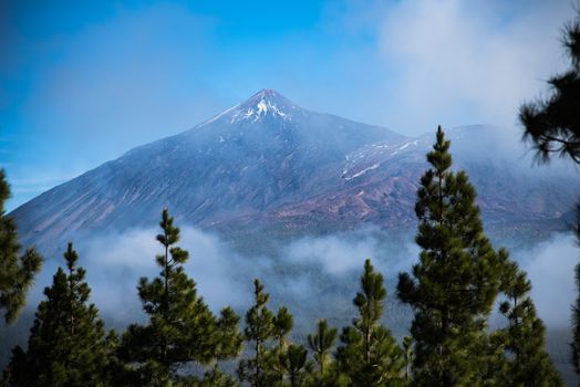 Zájezd na Tenerife