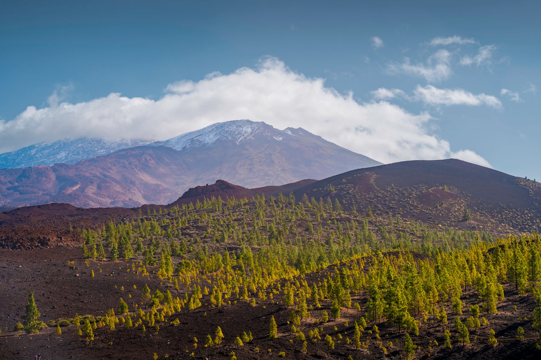Vyprahlá vulkanická kaldera národního parku Teide s lávovými poli a barevnými skalami