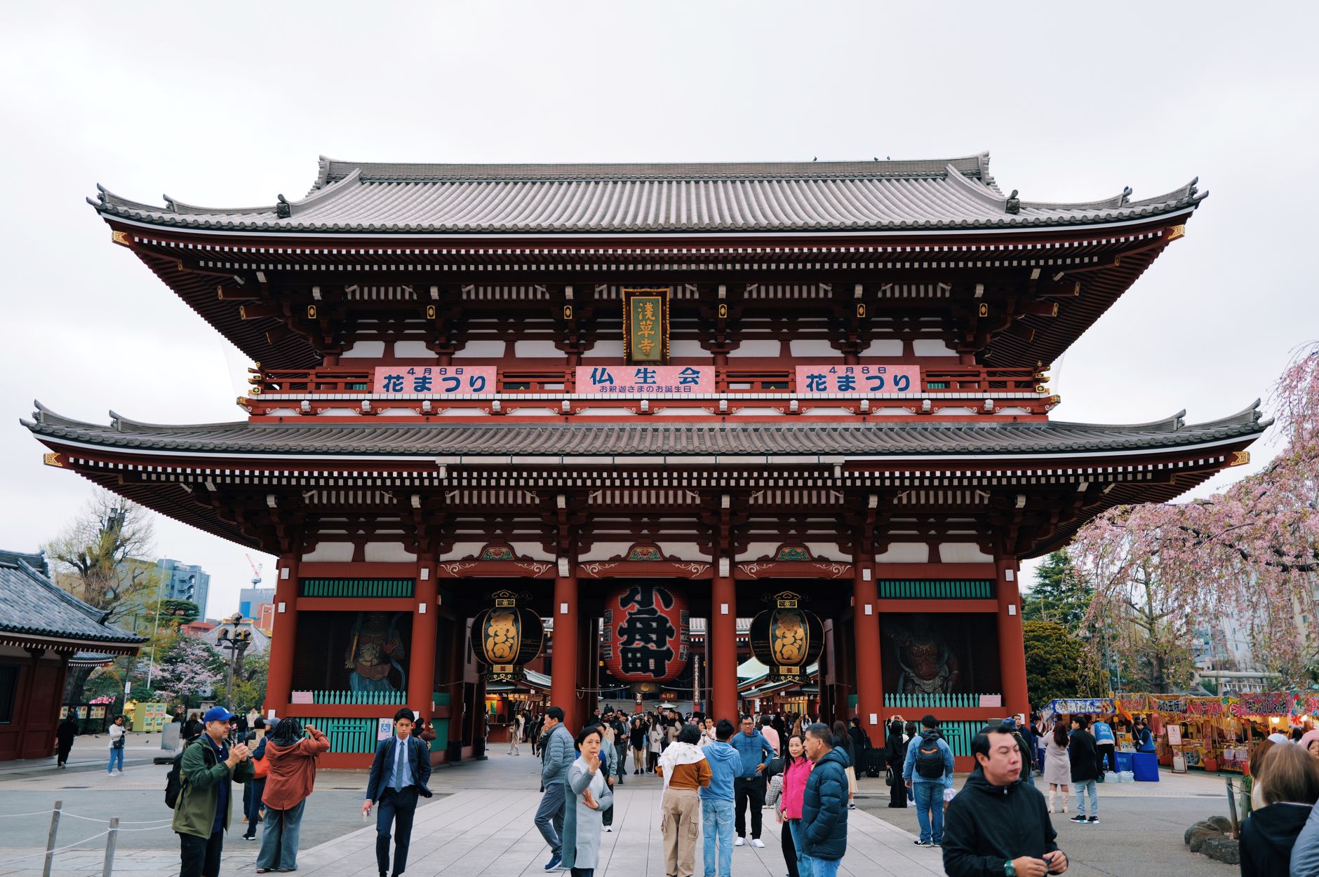 Tradiční japonská svatyně s červenou bránou torii a kvetoucími sakurami v parku v Tokiu