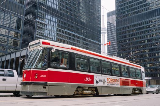 Zájezd do Toronta