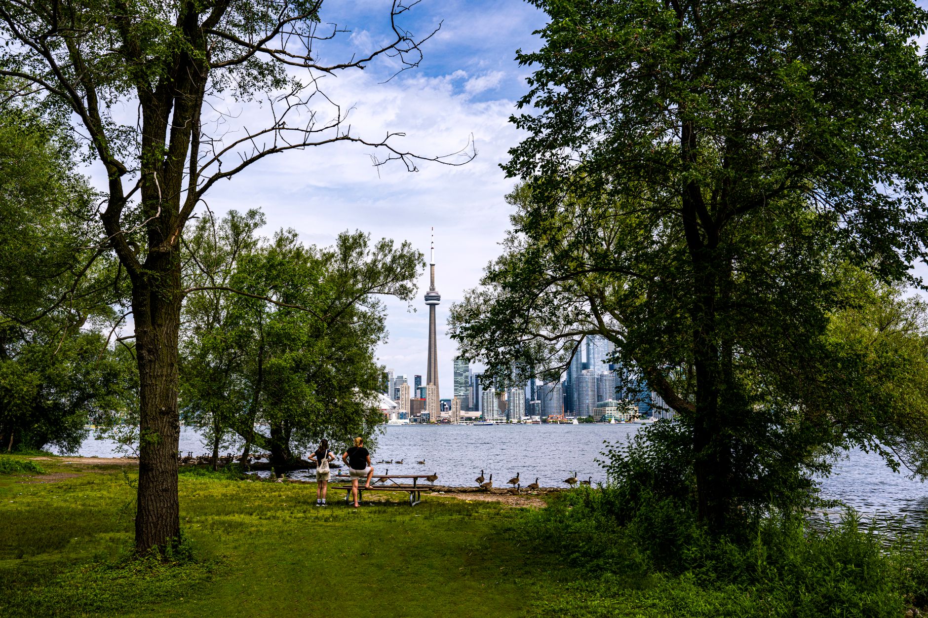 Pohled na panorama Toronta s mrakodrapy přes vodu z ostrovů Toronto Islands