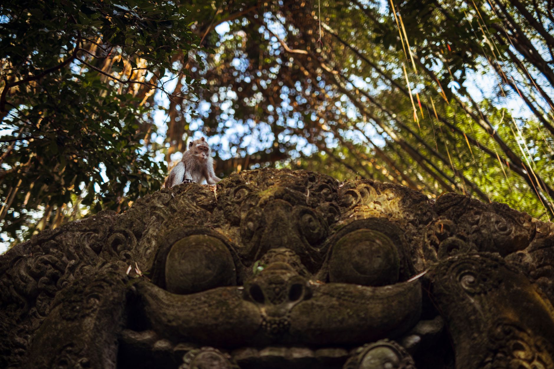 Zájezd do Ubudu