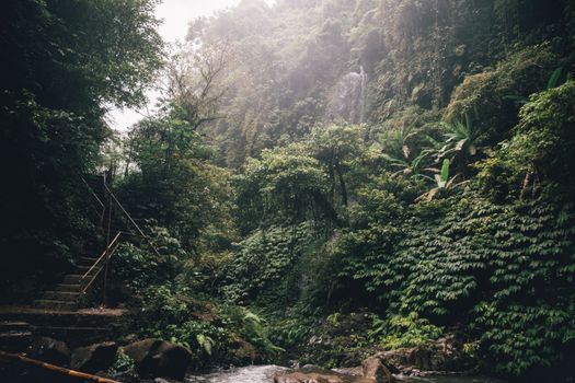 Zájezd do Ubudu