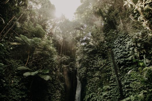 Zájezd do Ubudu