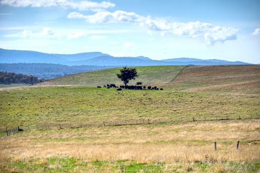 Zájezd do Uruguaye