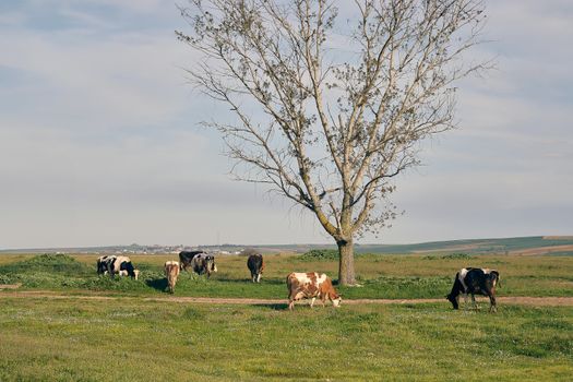 Zájezd do Uruguaye