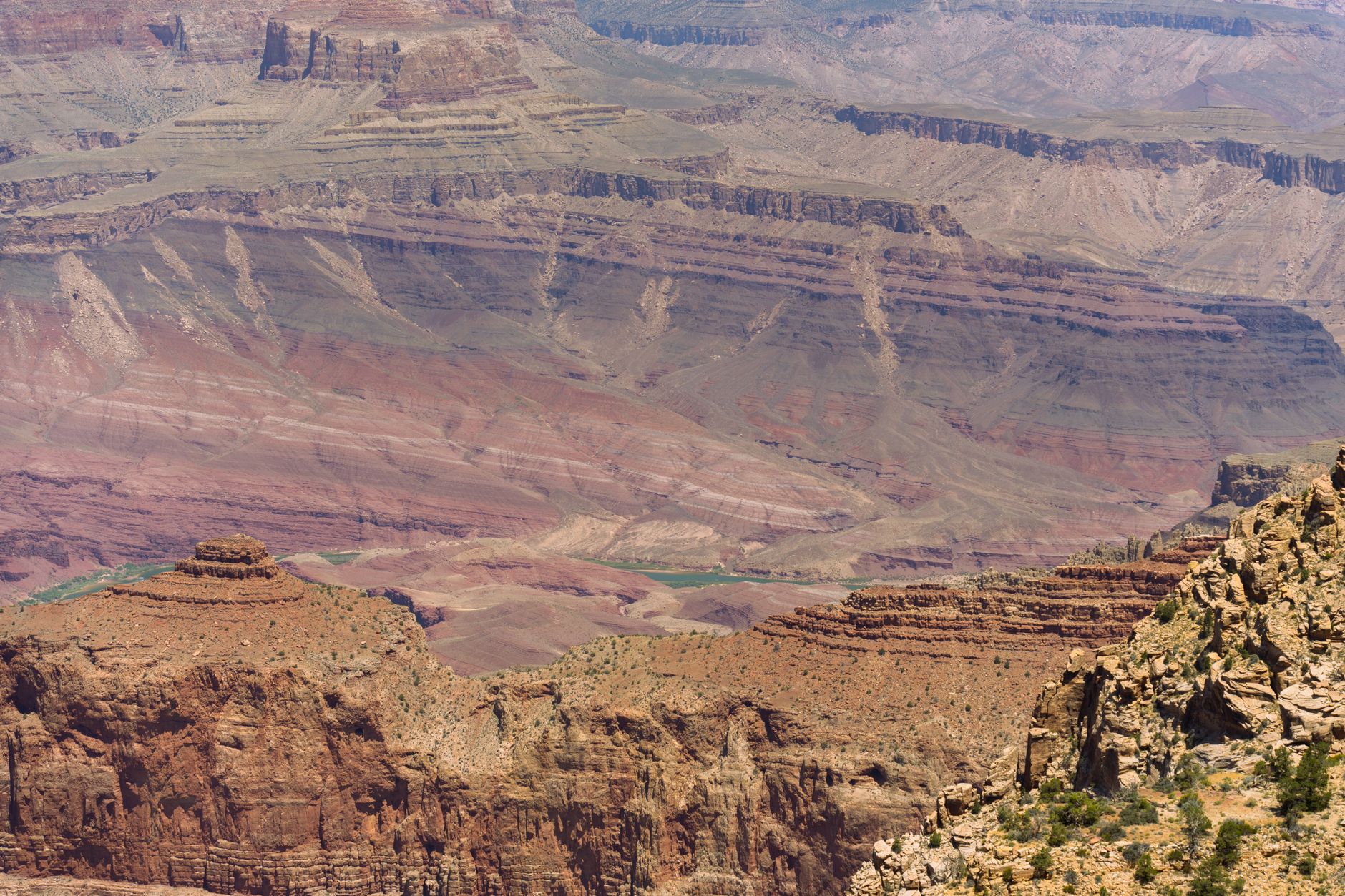 Pohled na Grand Canyon v Arizoně s vrstvami červených skalních stěn za jasného dne