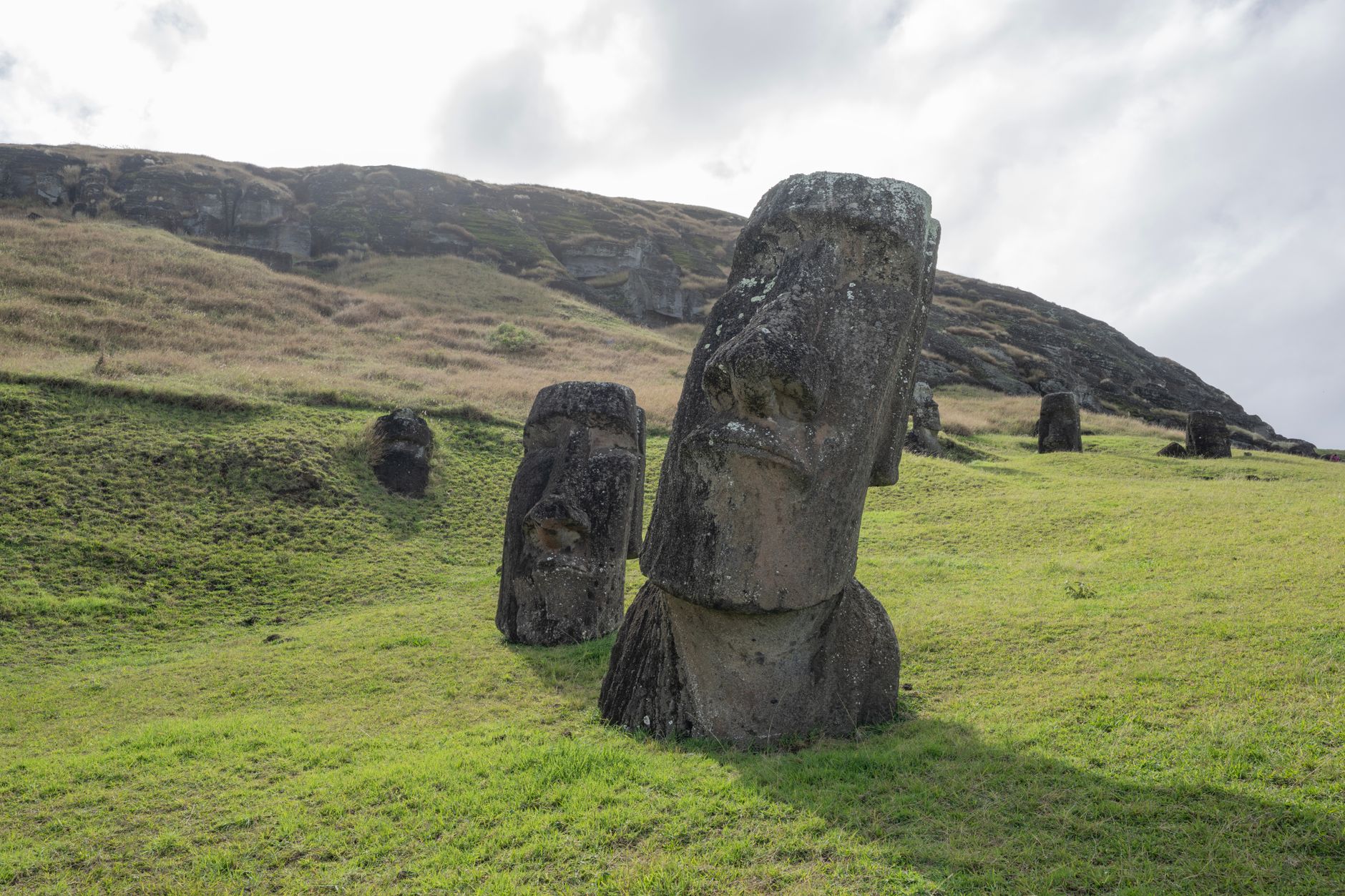 Osamělá socha moai na travnatém svahu Velikonočního ostrova s oceánem v pozadí