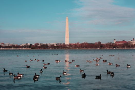 Zájezd do Washingtonu