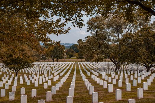 Zájezd do Washingtonu