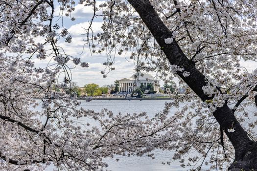 Zájezd do Washingtonu