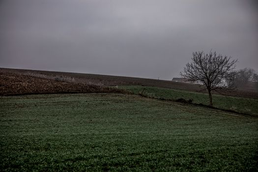 Zájezd do Waterloo