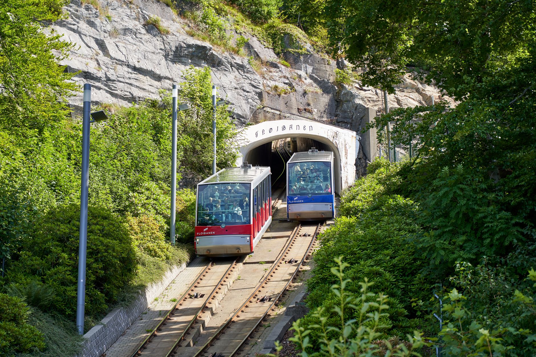 Zájezd do Wellingtonu