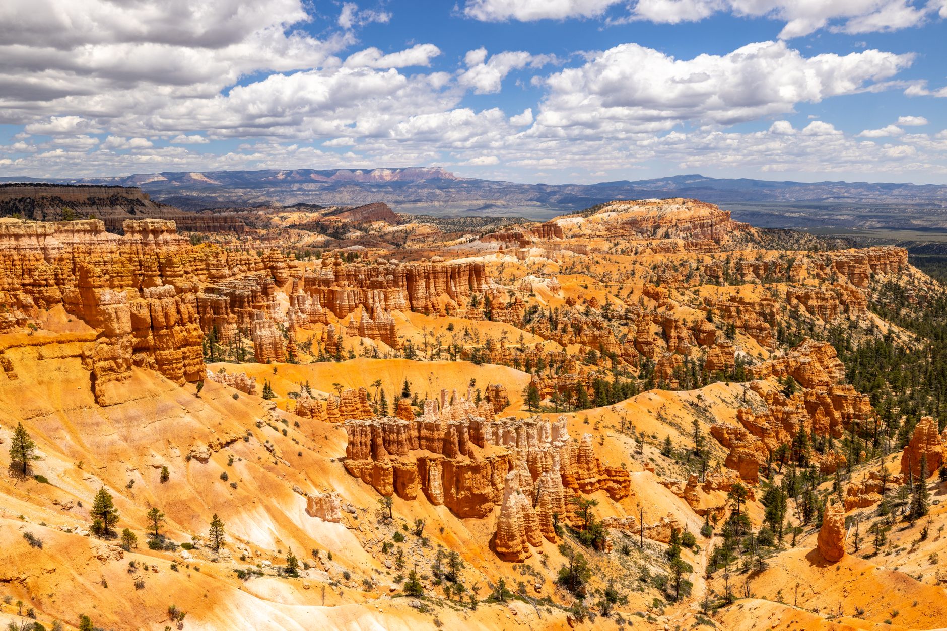 Hluboký Grand Canyon s vrstvami rudých a okrových skal za slunečného dne