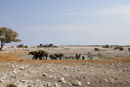 Zájezd do Zimbabwe