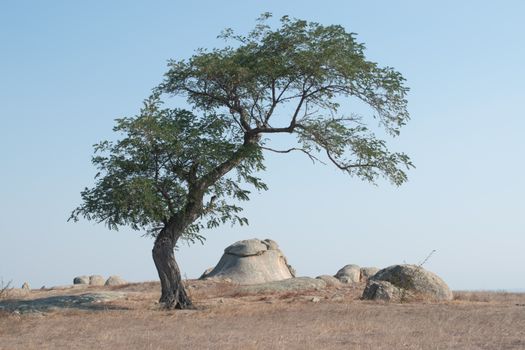 Zájezd do Zimbabwe