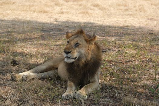 Zájezd do Zimbabwe