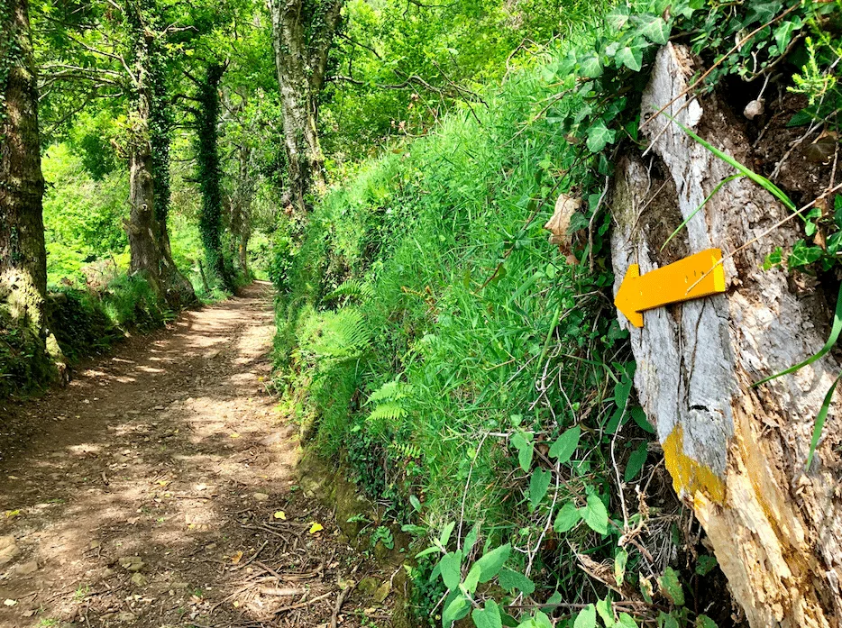 Horská krajina na trase Camino Primitivo mezi Oviedem a Santiagem de Compostela