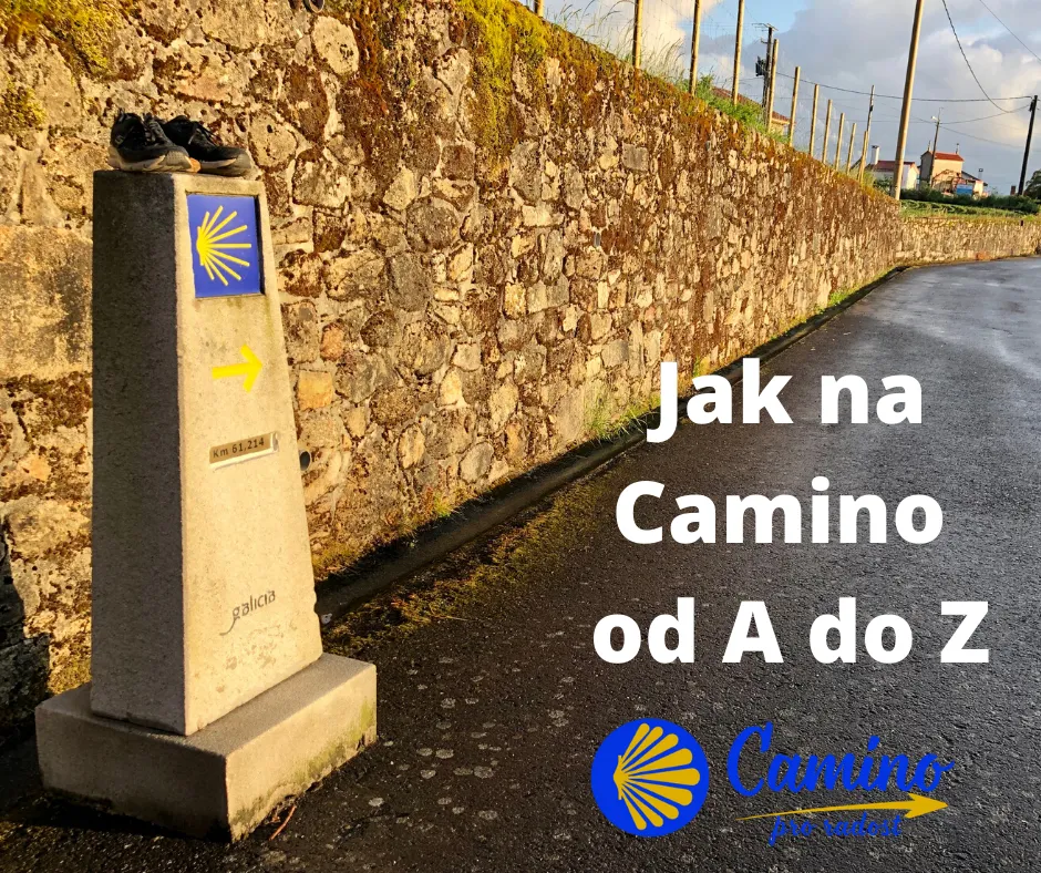 Večerní posezení na Caminu s knihou a vínem