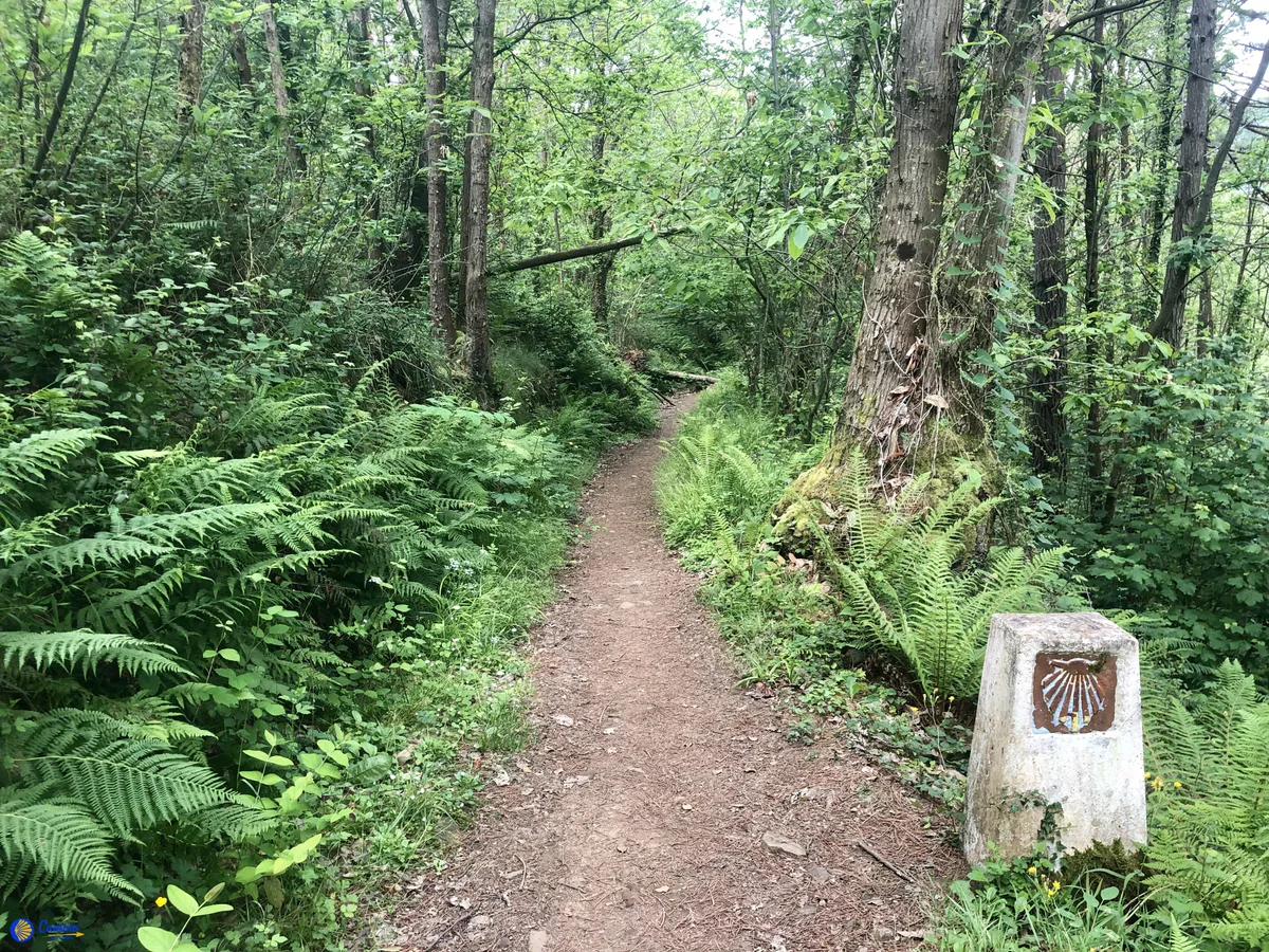Typický den na Caminu, poutník na trase Svatojakubské cesty
